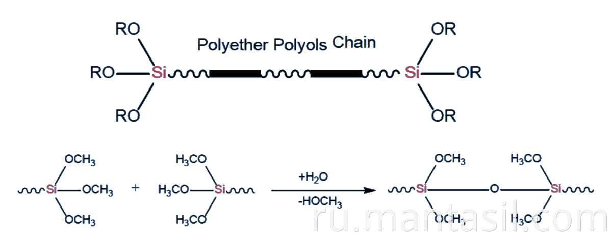 Polymer's Curing Mechanism